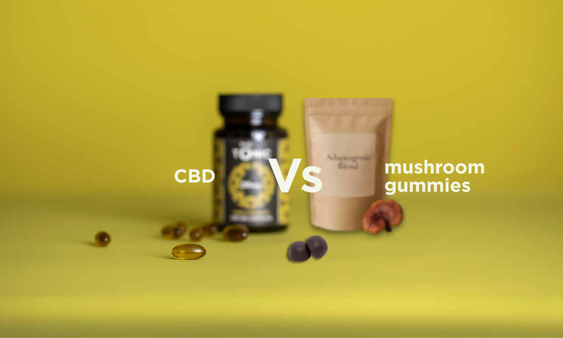 CBD or mushroom gummies - which gives you more for your money?