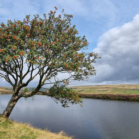 Always in ‘crisis mode’?