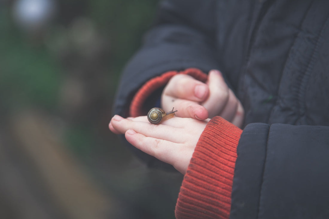 Can you give CBD to children? - The Tonic CBD