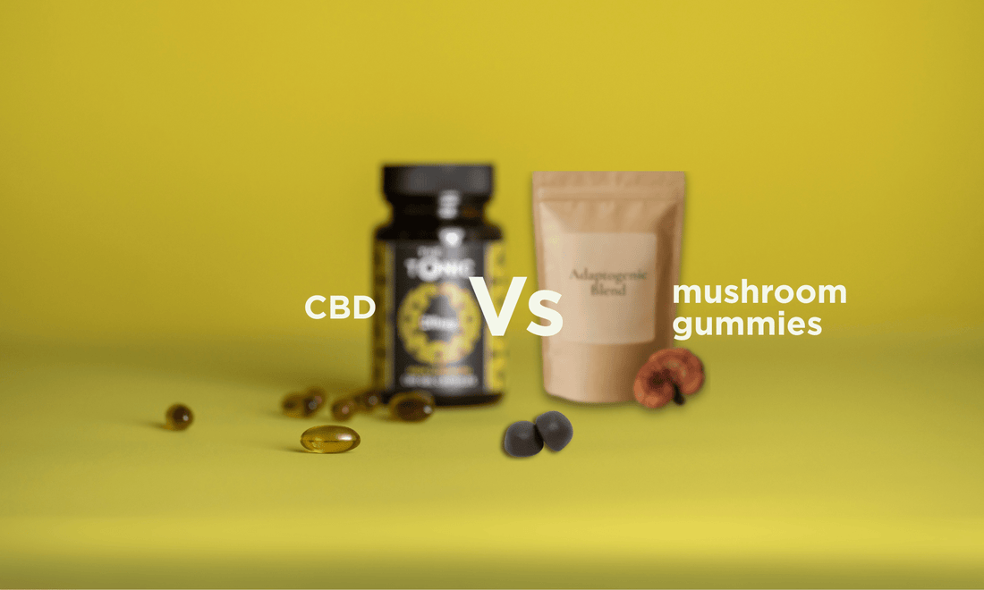 CBD or mushroom gummies - which gives you more for your money? - The Tonic CBD